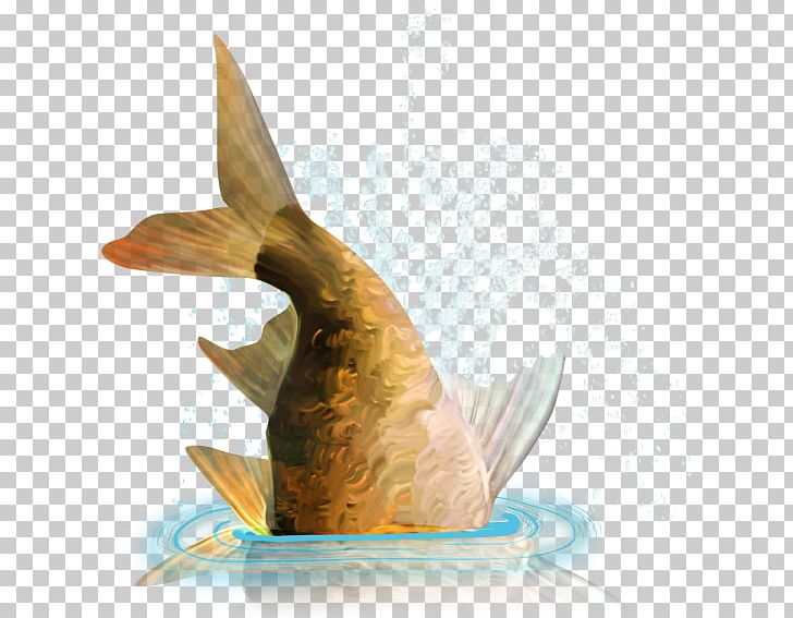 Fish PNG, Clipart, Animals, Beak, Bird, Computer Icons, Download Free PNG Download