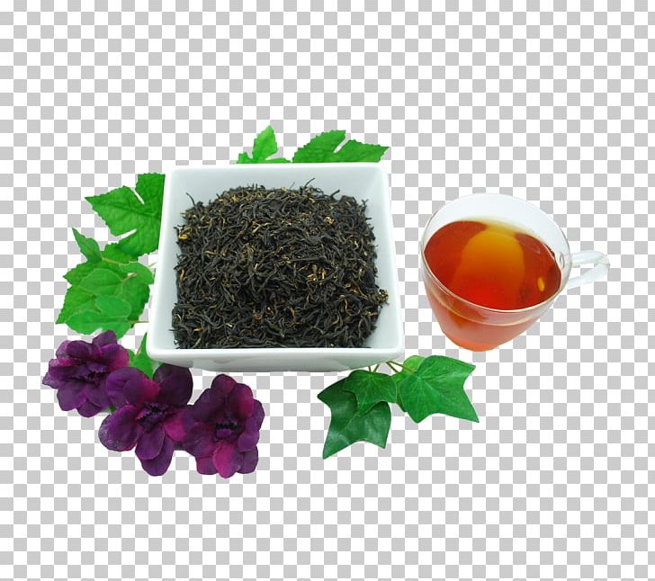 Hōjicha Oolong Nilgiri Tea Earl Grey Tea PNG, Clipart,  Free PNG Download