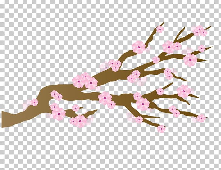 Japan National Cherry Blossom Festival PNG, Clipart, Advertising, Blossom, Branch, Cherry, Cherryblossom Free PNG Download