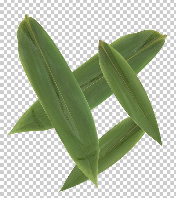 Leaf Bamboo Png Clipart Bamboo Leaves Banana Leaves Com Deciduous Download Free Png Download