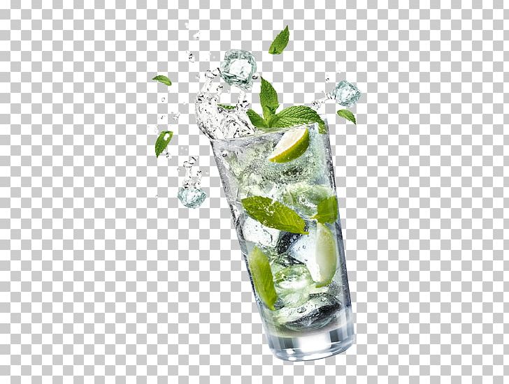Mojito Cocktail Garnish Gin And Tonic Vodka Tonic PNG, Clipart, Cocktail, Cocktail Garnish, Drink, Food Drinks, Garnish Free PNG Download