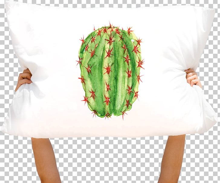 Pillow Talk Bed Percale Blanket PNG, Clipart, American Express, Art, Art Museum, Barrel Cactus, Bed Free PNG Download