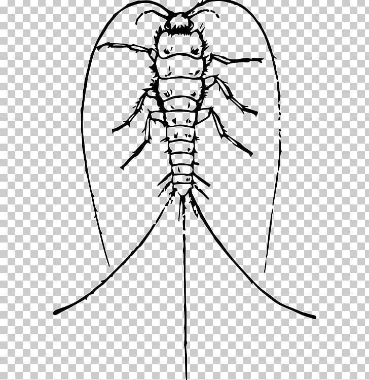 Silverfish Invertebrate Drawing PNG, Clipart, Angle, Artwork, Black And White, Drawing, Face Free PNG Download