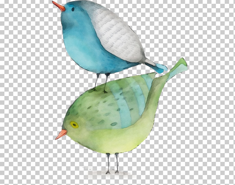 Bird Beak Perching Bird PNG, Clipart, Beak, Bird, Paint, Perching Bird, Watercolor Free PNG Download