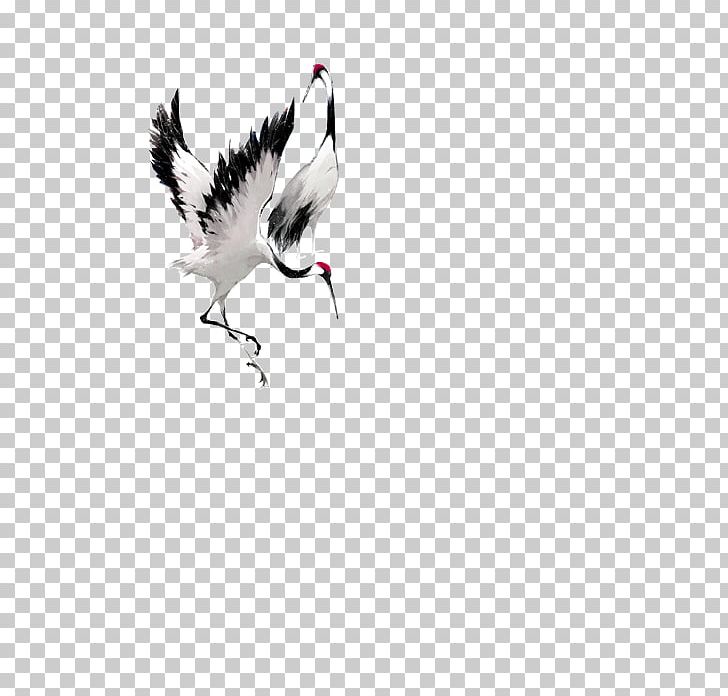 Crane Bucky Barnes Bird PNG, Clipart, Animal, Beak, Black And White, Branch, Cartoon Free PNG Download