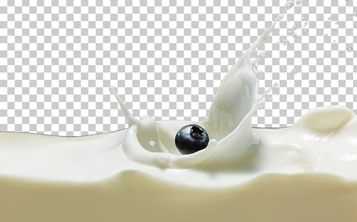 Icon PNG, Clipart, Adobe Illustrator, Blueberry, Closeup, Cows Milk, Download Free PNG Download