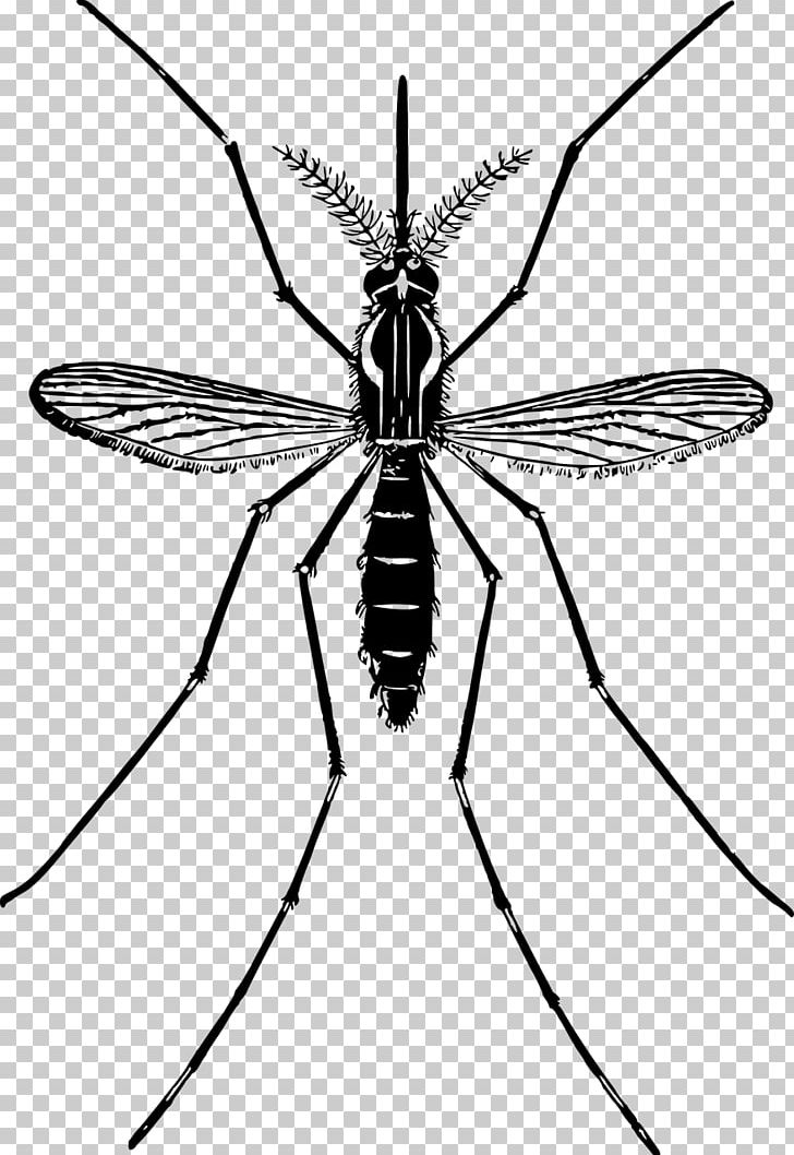 Mosquito PNG, Clipart, Arthropod, Artwork, Black And White, Brush Footed Butterfly, Computer Icons Free PNG Download
