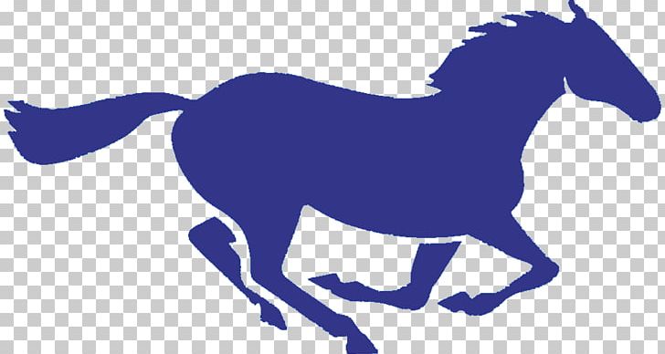 San Dieguito Academy Mustang National Secondary School Canyon Crest Academy La Costa Canyon High School PNG, Clipart, Canyon Crest Academy, Colt, Equestrian, Fictional Character, Horse Free PNG Download