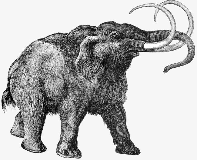 Mammoth PNG, Clipart, Animal, Animals, Antique, Black And White, Classical Style Free PNG Download