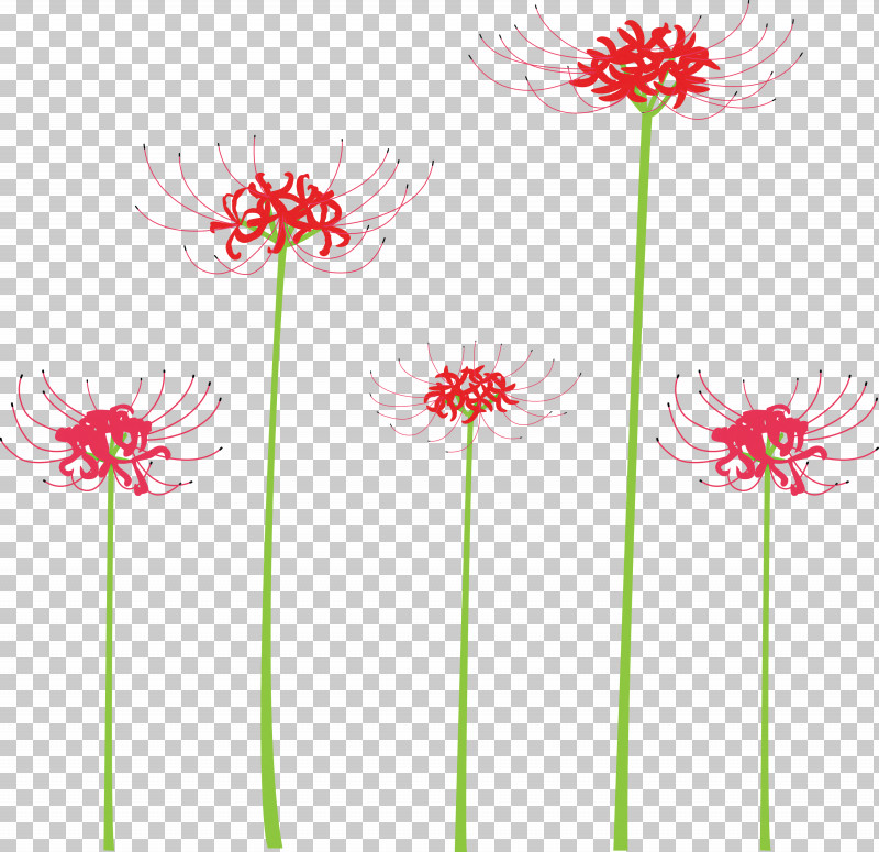 Hurricane Lily Flower PNG, Clipart, Cut Flowers, Flower, Gerbera, Hurricane Lily, Pedicel Free PNG Download