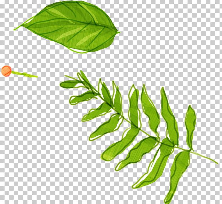Leaf Watercolor Painting PNG, Clipart, Branch, Cartoon, Download, Drawing, Euclidean Vector Free PNG Download