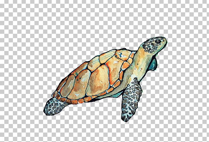 Loggerhead Sea Turtle Box Turtles Tortoise PNG, Clipart, Animal, Box Turtle, Box Turtles, Desktop Wallpaper, Emoji Free PNG Download
