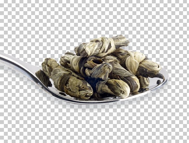 Mussel Clam PNG, Clipart, Animal Source Foods, Clam, Clams Oysters Mussels And Scallops, Ingredient, Jasmine Tea Free PNG Download