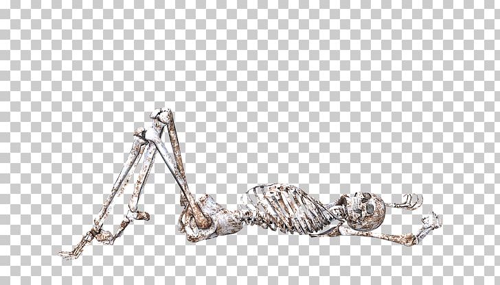 Human Skeleton Skull PNG, Clipart, Auto Part, Body Jewelry, Bone, Data Compression, Download Free PNG Download