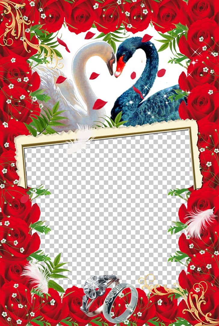 Wedding Photography Wedding Photography PNG, Clipart, Album, Christmas Decoration, Flower, Frame, Heart Free PNG Download