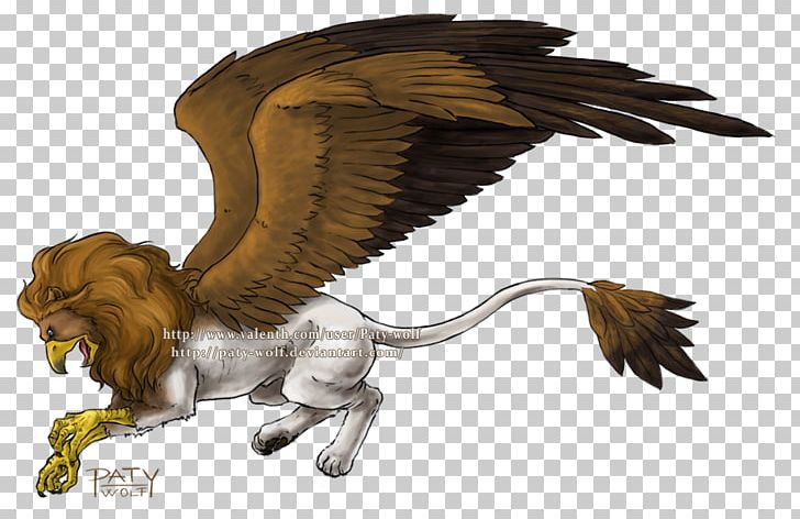 Gray Wolf Griffin Lion Drawing Legendary Creature PNG, Clipart, Animal, Art, Beak, Bird, Bird Of Prey Free PNG Download