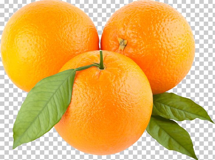 Orange PNG, Clipart, Bitter Orange, Cdr, Citric Acid, Citrus, Clementine Free PNG Download