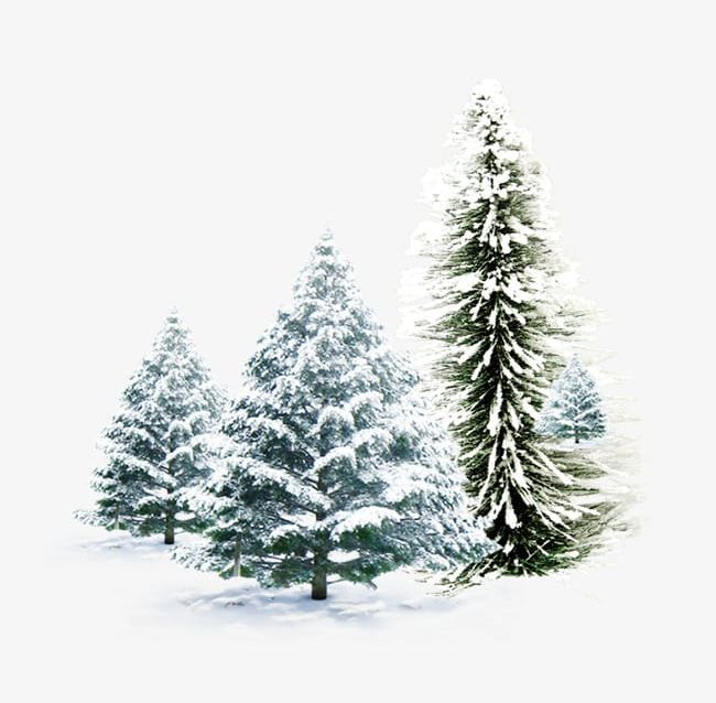 Snow Pine Combination PNG, Clipart, Christmas, Christmas Tree, Combination Clipart, Combination Clipart, Pine Free PNG Download