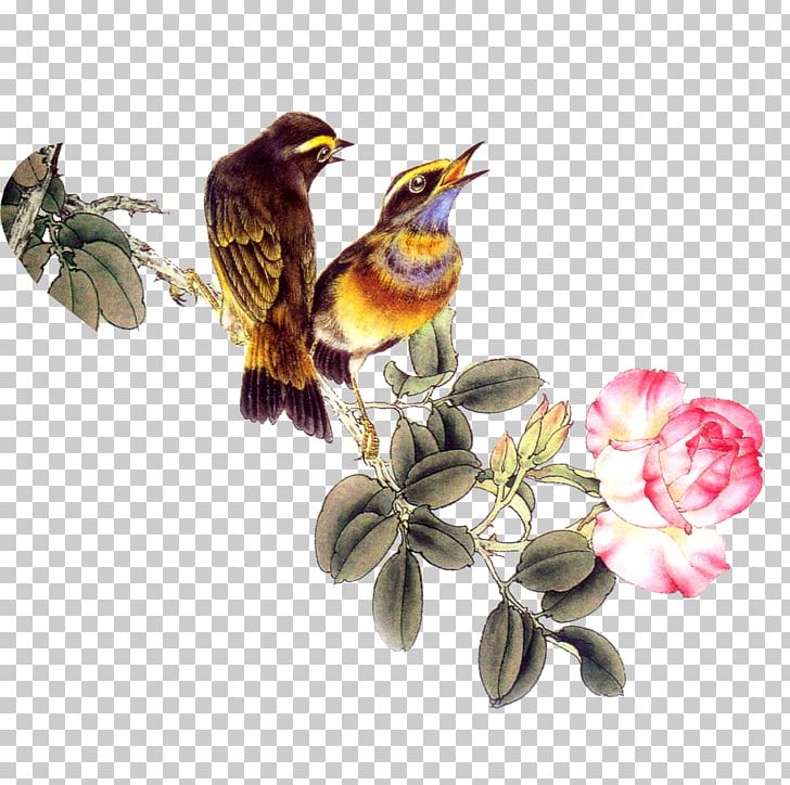 Birds And Flowers PNG, Clipart, Beak, Bird, Birdandflower Painting, Birds And Flowers, Branch Free PNG Download