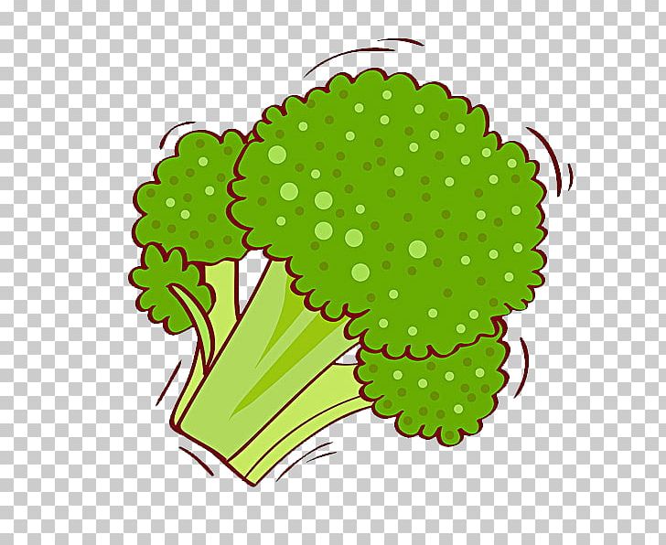 Broccoli Cauliflower Illustration PNG, Clipart, Broccoli, Cartoon Cauliflower, Cauliflower, Flower, Food Free PNG Download
