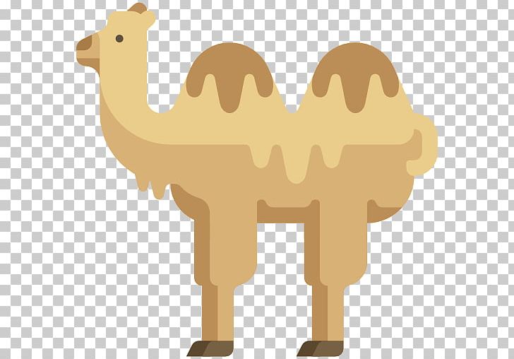 Dromedary Scalable Graphics Icon PNG, Clipart, Animal, Animals, Arabian Camel, Beach, Camel Free PNG Download