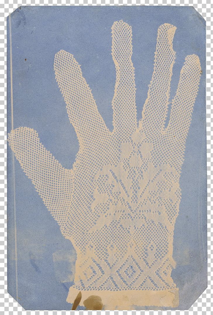 [Lace Glove] [Arrangement Of Specimens] J. Paul Getty Museum Photography Cyanotype PNG, Clipart, Arrangement Of Specimens, Art, Cyanotype, Glove, Hand Free PNG Download