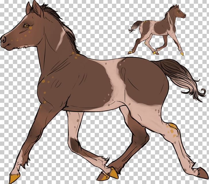 Mustang Foal Stallion Mare Colt PNG, Clipart, Bridle, Broken Arrow, Colt, English Riding, Equestrian Free PNG Download