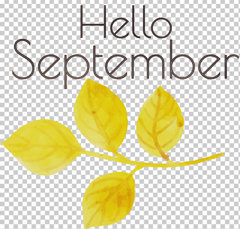 Leaf Petal Yellow Font Fruit PNG, Clipart, Biology, Fruit, Hello September, Leaf, Meter Free PNG Download