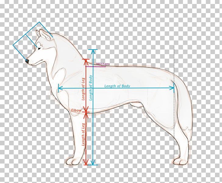 Horse Cat Dog Mammal Pet PNG, Clipart, Angle, Animal, Animals, Arm, Canidae Free PNG Download