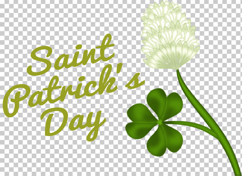 Shamrock PNG, Clipart, Biology, Flower, Green, Leaf, Petal Free PNG Download