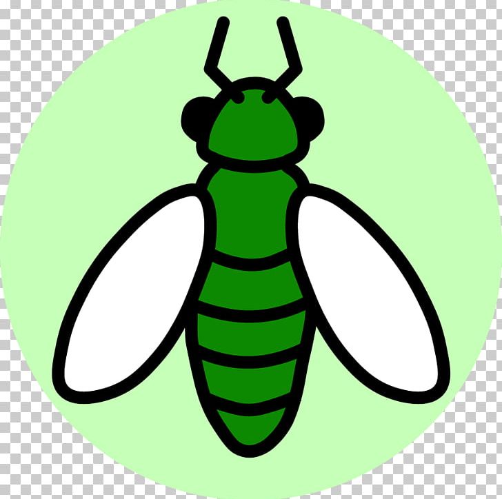 Beetle Insect Biodiversity Termite Entomology PNG, Clipart, Animal, Animals, Artwork, Bee, Beetle Free PNG Download