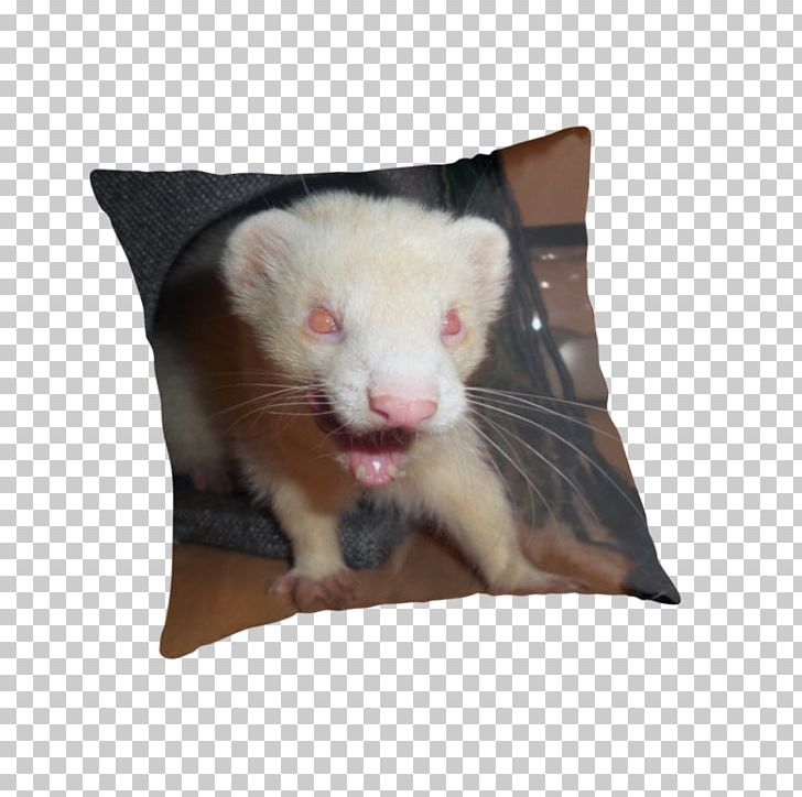Ferret Rat Cushion Throw Pillows PNG, Clipart, Animal, Animals, Cushion, Ferret, Fur Free PNG Download
