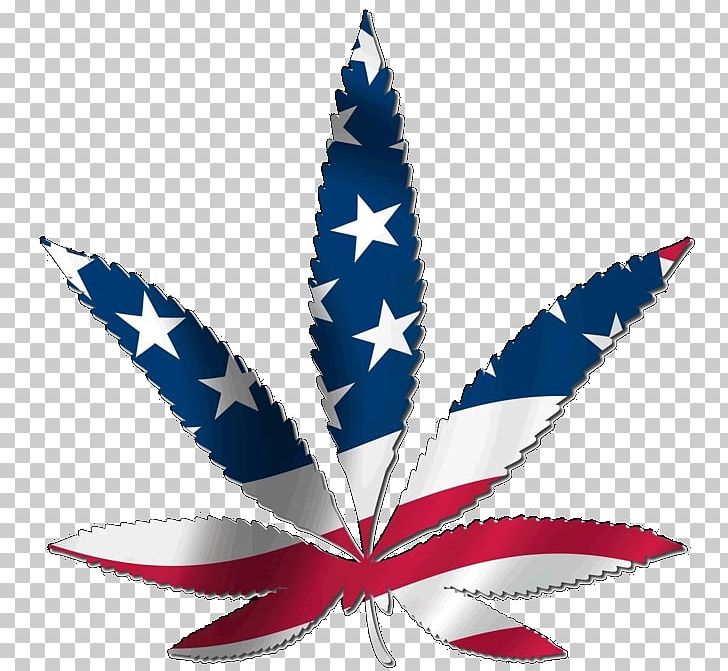 United States Legality Of Cannabis Medical Cannabis Legalization PNG, Clipart, Cannabis, Cannabis Smoking, Drug, Leaf, Legalization Free PNG Download