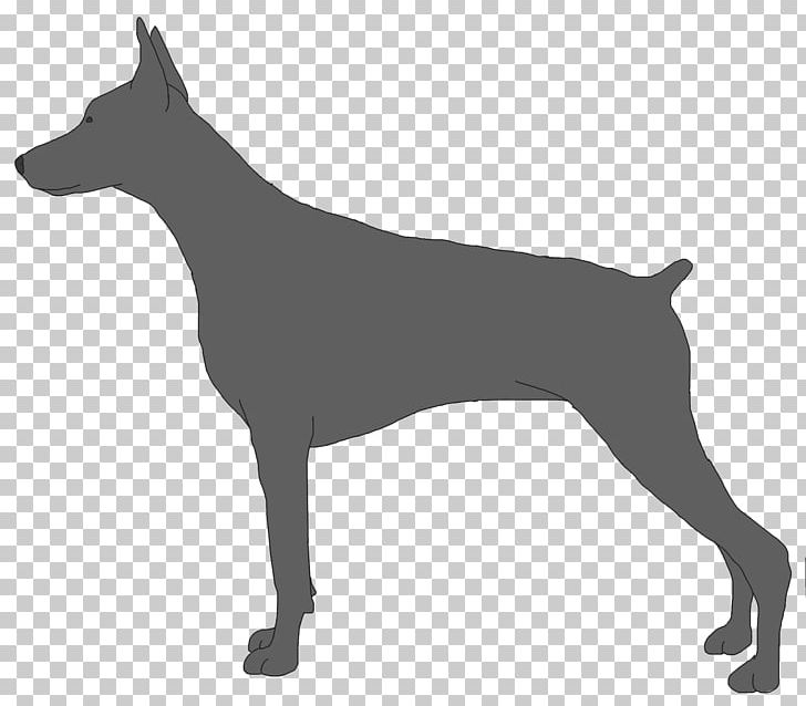 Dobermann Miniature Pinscher Muzzle Dog Breed Guard Dog PNG, Clipart, Animals, Bark, Black And White, Carnivoran, Dobermann Free PNG Download