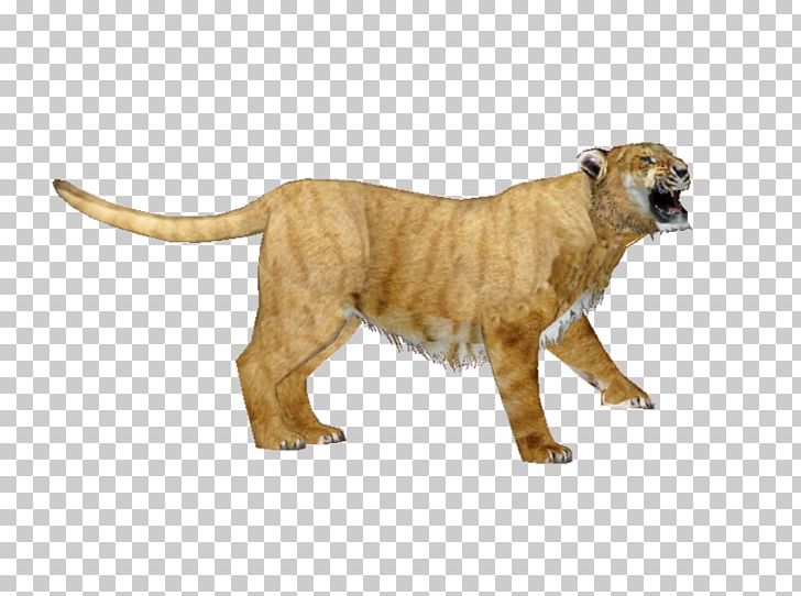 Savannah Cat Zoo Tycoon 2 Terrestrial Animal Big Cat PNG, Clipart, Animal, Animal Figure, Australia, Big Cat, Big Cats Free PNG Download