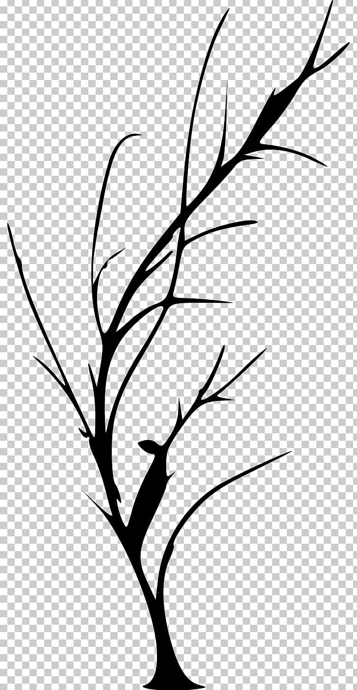 Drawing Twig PNG, Clipart, Animals, Artwork, Beak, Black And White, Branch Free PNG Download