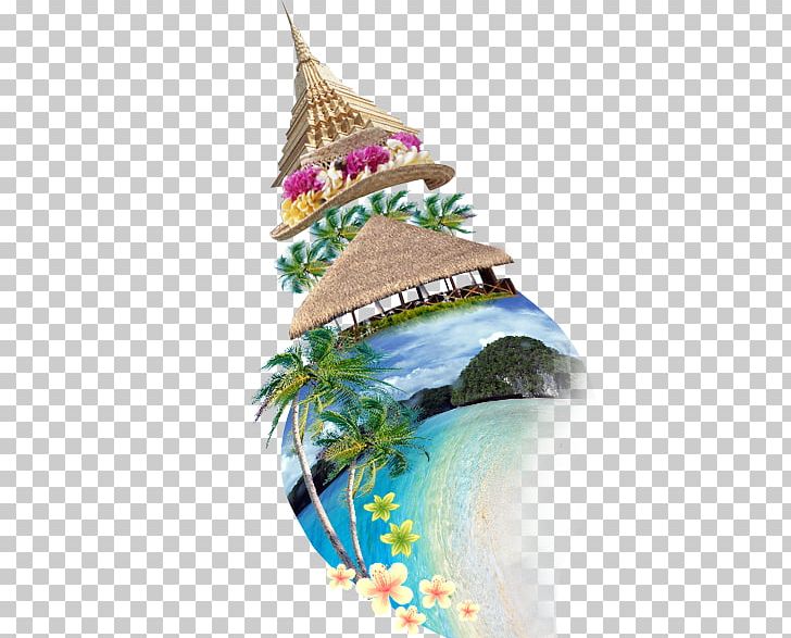 Southeast Asia Sea Snail Creativity Computer File PNG, Clipart, Adobe Illustrator, Asia, Asian Vector, Christmas, Christmas Decoration Free PNG Download