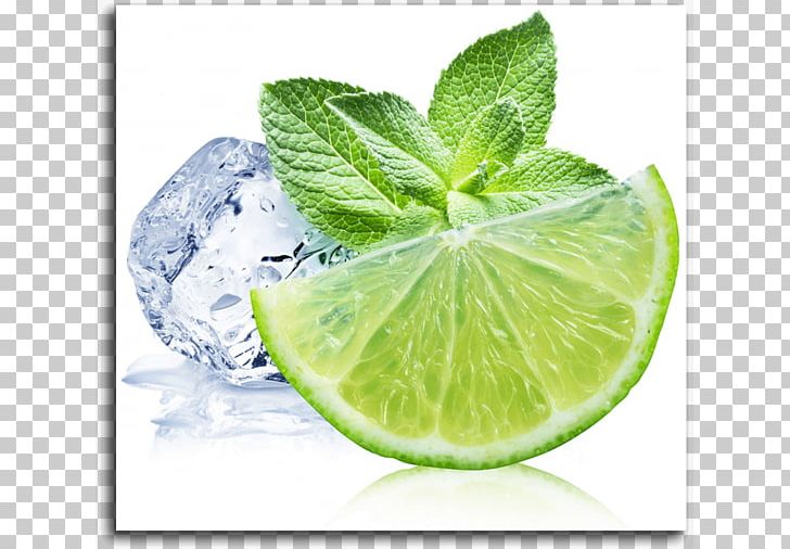 Lemon Balm Lemon Beebalm Lime Mentha Arvensis PNG, Clipart, Citric Acid, Citrus, Flavor, Food, Fruit Free PNG Download