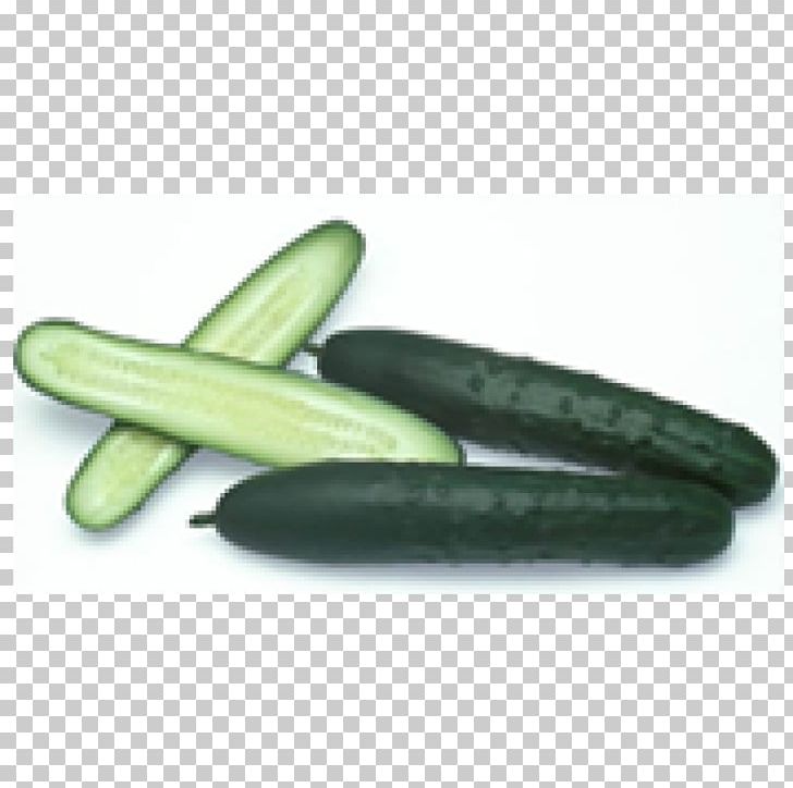 Pickled Cucumber Vegetable Fruit Baby Corn PNG, Clipart, Ambattur, American, Baby Corn, Cucumber, Cucumber Gourd And Melon Family Free PNG Download