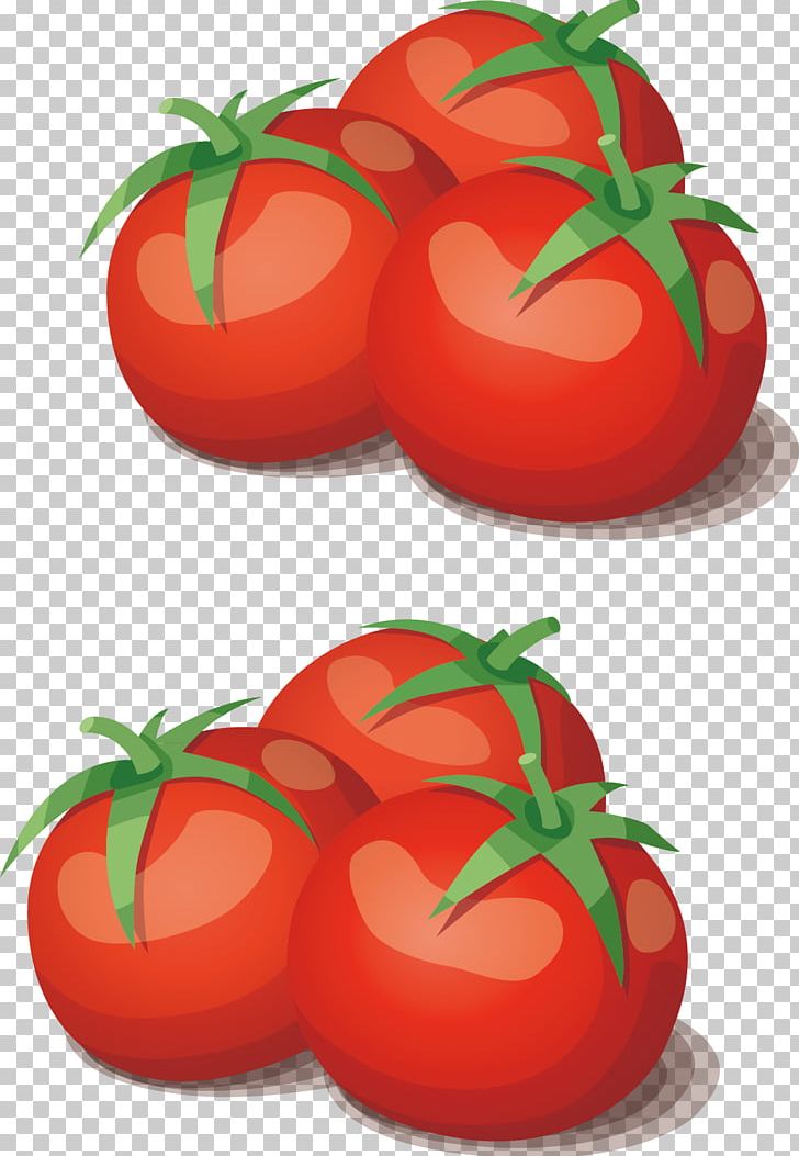 Tomato Vegetable Cooking Food PNG, Clipart, Bush Tomato, Cartoon, Cherry Tomato, Cooking, Food Free PNG Download