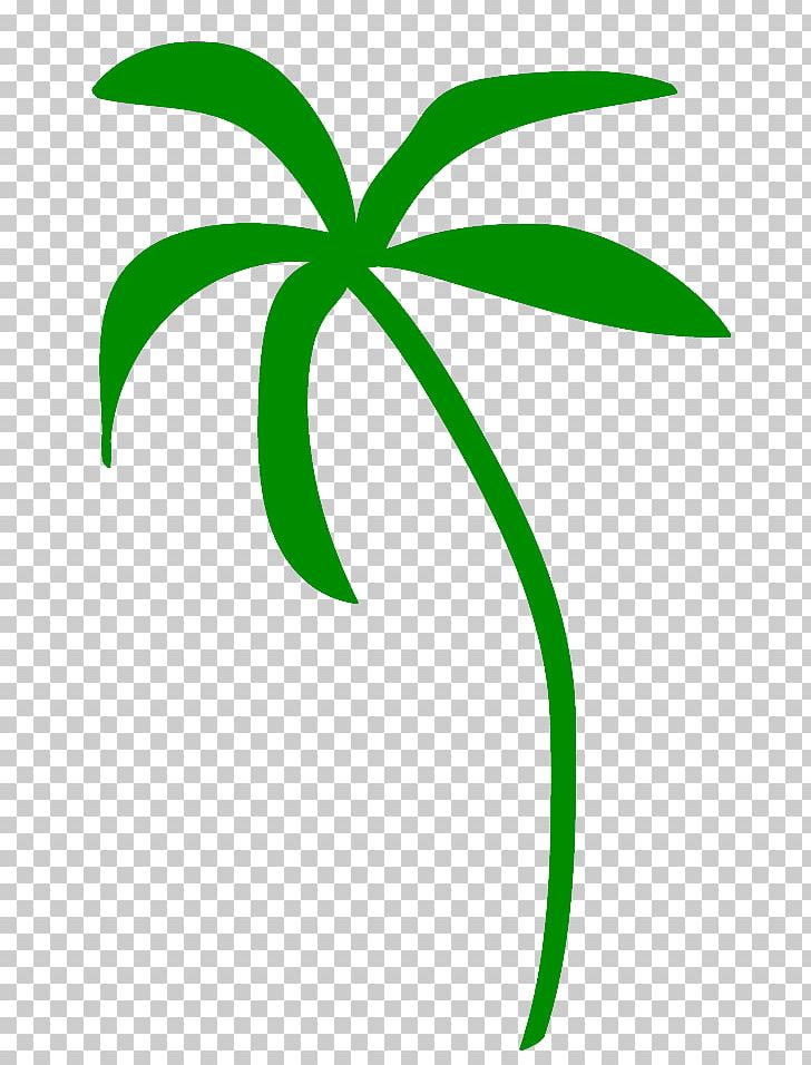 Arecaceae Coconut Cream Green PNG, Clipart, Area, Arecaceae, Arecales, Artwork, Black Free PNG Download