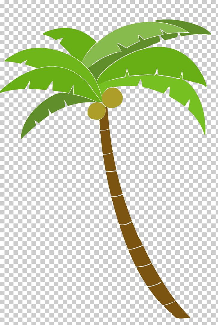 Arecaceae Illustrator Tree PNG, Clipart, Arecaceae, Arecales, Coconut, Flowering Plant, Flowerpot Free PNG Download
