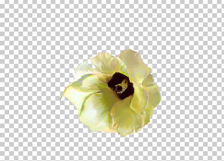 Flat-leaved Vanilla Flower Yellow Blossom Petal PNG, Clipart, Blossom, Cut Flowers, Flatleaved Vanilla, Flat Leaved Vanilla, Flower Free PNG Download