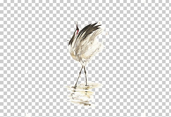 Bird U660eu53f0 Crane PNG, Clipart, Animal, Background White, Beak, Bird, Black White Free PNG Download