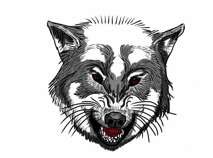 Gray Wolf Drawing Anger PNG, Clipart, Anger, Animals, Art, Black And White, Canidae Free PNG Download