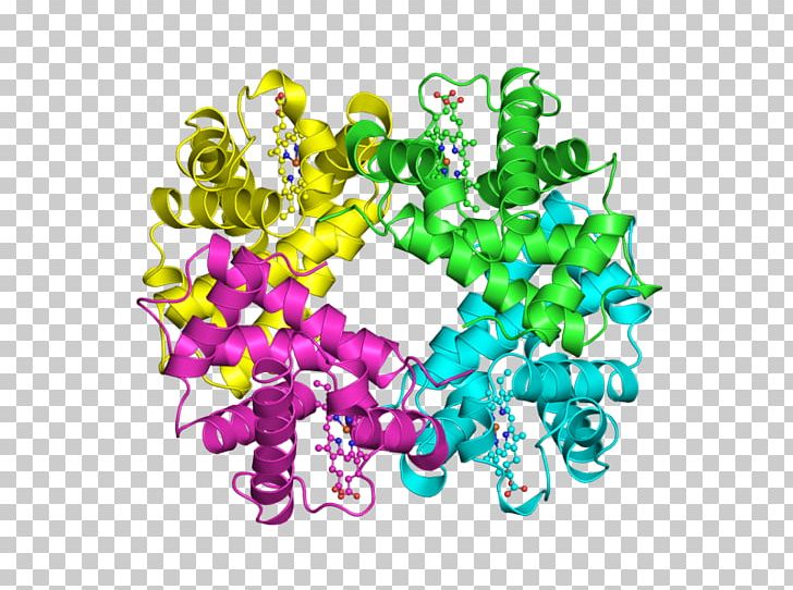 Protein Quaternary Structure Protein Structure Hemoglobin Protein Primary Structure PNG, Clipart, Art, Bead, Biochemistry, Globular Protein, Hbb Free PNG Download