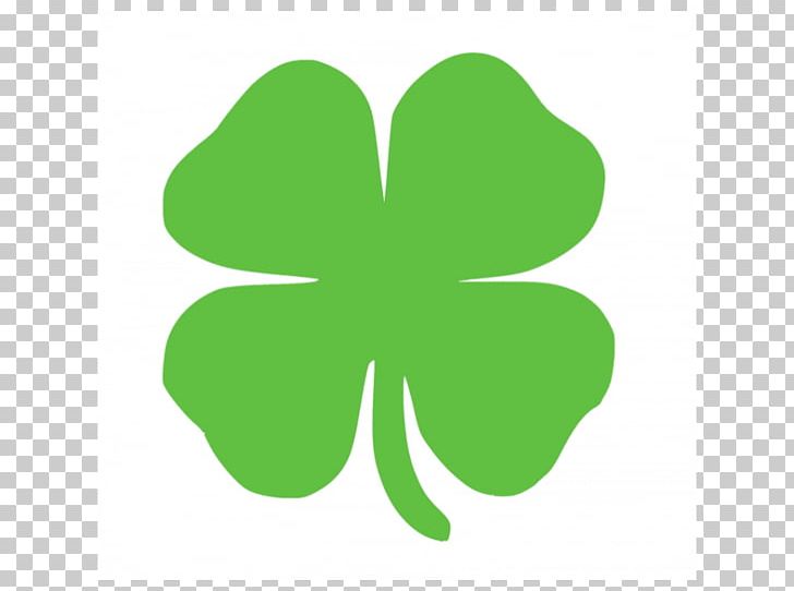 St. Patrick's Cathedral Saint Patrick's Day Shamrock Ireland Four-leaf Clover PNG, Clipart,  Free PNG Download
