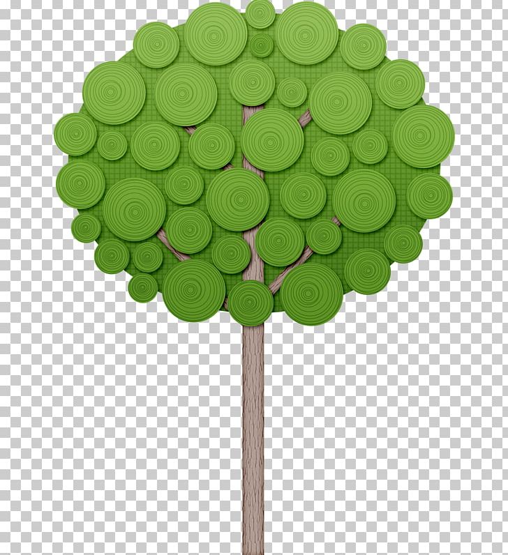 Tree Shrub Drawing PNG, Clipart, Arbre, Arecaceae, Branch, Drawing, Green Free PNG Download