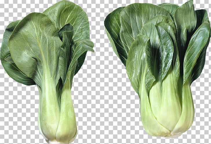 Chinese Cuisine Bok Choy Capitata Group Chinese Cabbage Salad PNG, Clipart, Bok Choy, Brassica Oleracea, Brassica Rapa, Cabbage, Capitata Group Free PNG Download