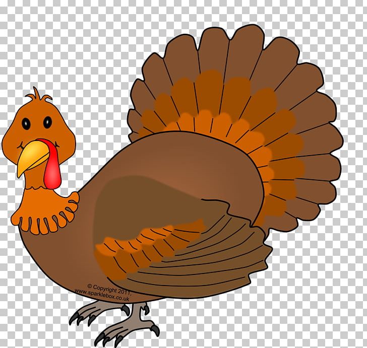 Turkey Thanksgiving PNG, Clipart, Beak, Bird, Blog, Chicken, Computer Icons Free PNG Download